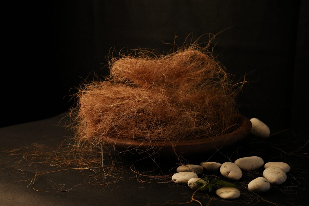 Cocofiber Supplier Indonesia