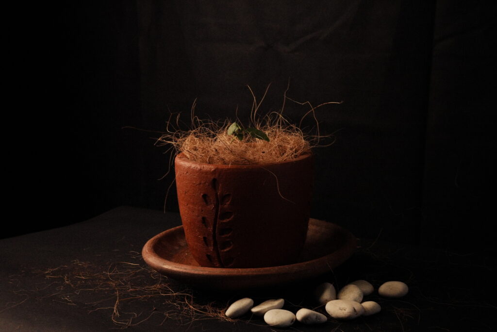 Cocofiber Supplier Indonesia