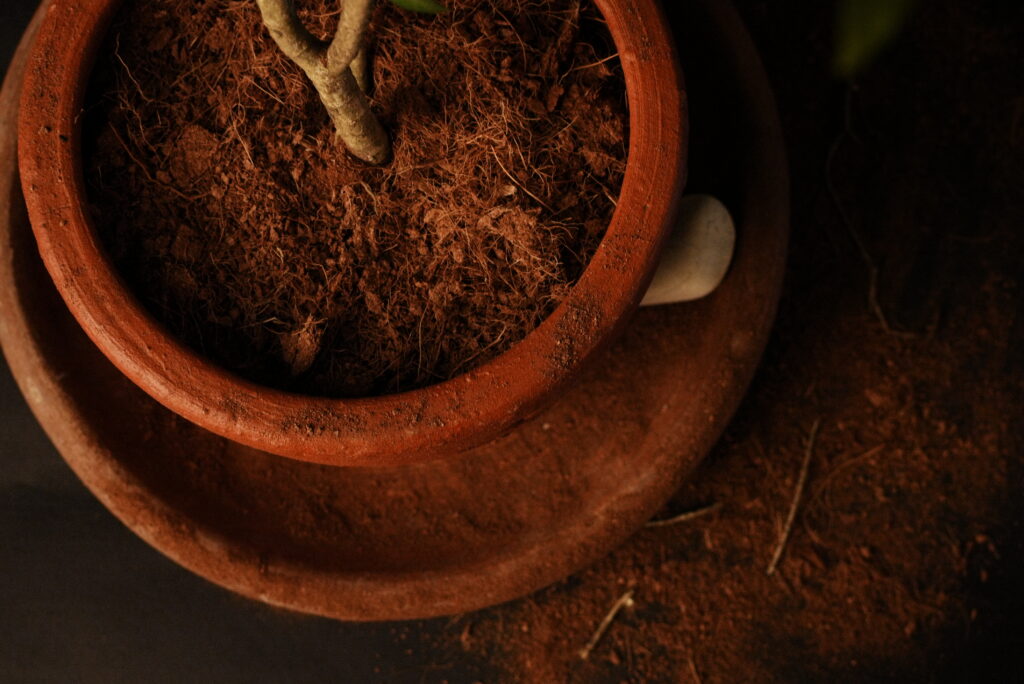 Cocopeat Supplier Indonesia