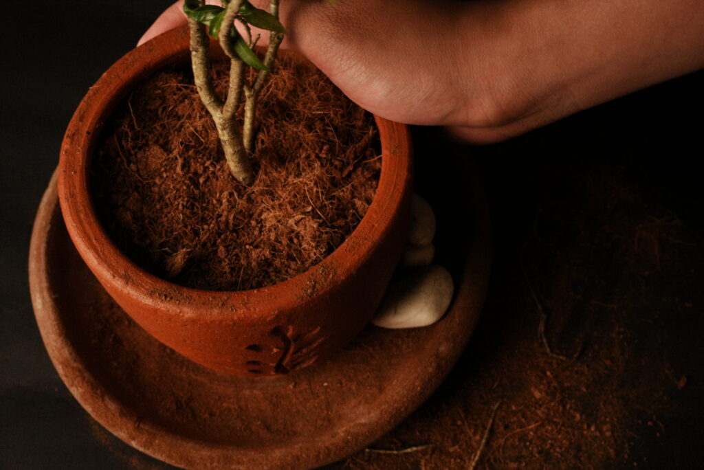 Cocopeat Supplier Indonesia